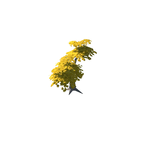 Maple Tree Yellow Mid 14